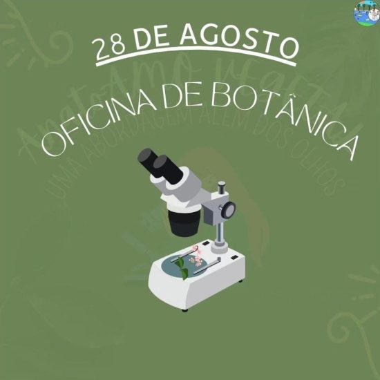 2ª edição